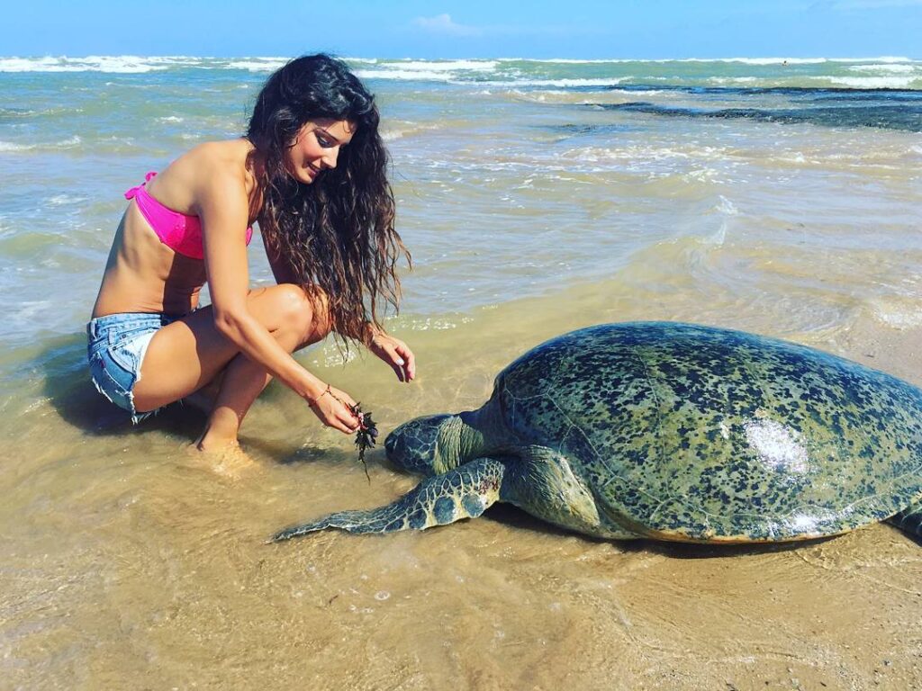 Bentota Beach