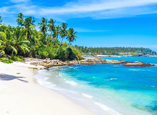 Arugam Bay