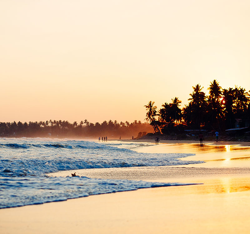 Arugam Bay 2